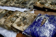 В подмосковном доме экс-КВНщика команды "Парни из Баку" нашли 174 килограмма героина