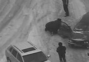 Полицейские Павлодара спасли жизнь пострадавшему в ДТП водителю