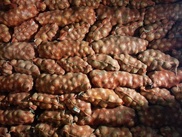 Цены на продукты питания сдержат в межсезонье в Алматы