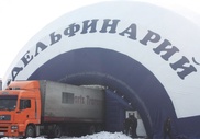 Дельфинарий на барахолке в Алматы заработает до Нового года