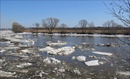 Теплая погода в Казахстане привела к ледоходу в Кызылорде