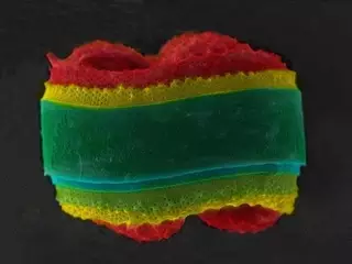 Новый способ очистки сточных вод от тяжелых металлов придумали в Усть-Каменогорске