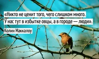 15 цитат из романа "Поющие в терновнике"