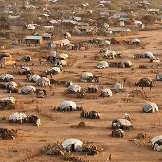 Научные теории, которые навредили людям больше всего