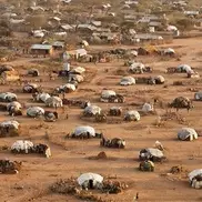 Научные теории, которые навредили людям больше всего