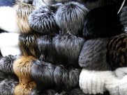 150 норковых шапок украли из квартиры предпринимателя в Астане