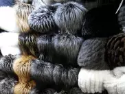 150 норковых шапок украли из квартиры предпринимателя в Астане