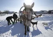 Налог на навоз снизили в Казахстане