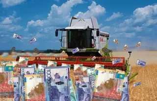 Счетный комитет заподозрил минсельхоз в помощи сомнительным фермерам