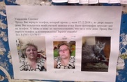 Жительница Астаны прославилась в Сети из-за пропавшего телефона