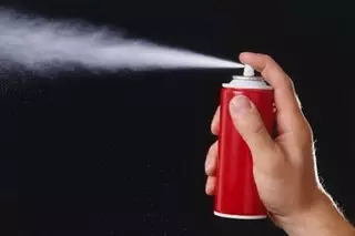 Перцовый баллончик использовала против полицейского жительница Алматинской области