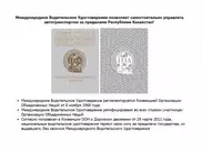 МВД назвало незаконной выдачу международных водительских прав частными компаниями