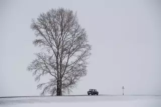 Ограничение движения снято в Жамбылской и Карагандинской областях