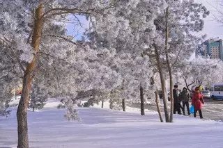 Погода в Казахстане: Начало марта будет холодным