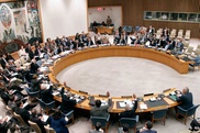 Совбез ООН принял предложенную Россией резолюцию по Украине