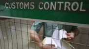 Алматы в 2014 году посетили более 420 тысяч иностранцев