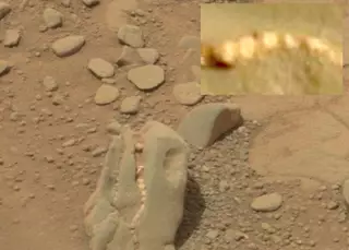 На Марсе обнаружили череп травоядного динозавра