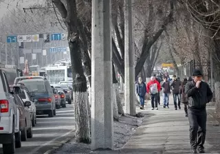 В достоверности данных о численности населения Алматы усомнился депутат