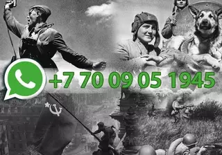 Истории ветеранов для проекта "Победители" можно отправить по WhatsApp