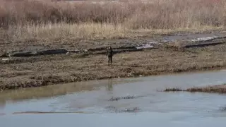 16-летняя девушка вплавь добралась до острова на Сырдарье в Кызылорде