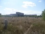 Акимат Павлодара проиграл суд смотрительнице кладбища