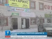 Голодная крыса напала на 9-летнюю девочку на улице в Актобе