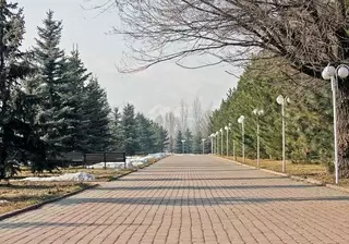 Погода в Казахстане будет теплой и без осадков в ближайшие три дня