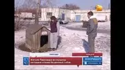 Фурманщик застрелил собаку в ее будке в Павлодаре