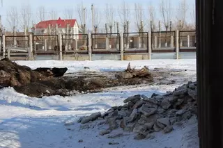 Туша оленя на территории зоопарка в Боровом возмутила посетителей