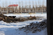 Туша оленя на территории зоопарка в Боровом возмутила посетителей