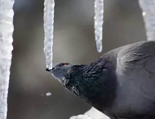 Погода в Казахстане: Плюсовая температура ожидается на выходных