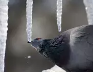 Погода в Казахстане: Плюсовая температура ожидается на выходных