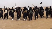 Активностью ИГИЛ у своих границ обеспокоены в Узбекистане