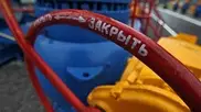 Украина перестанет покупать российский газ с 1 апреля