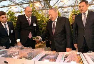 ЮКО может стать "фабрикой" по производству овощей и фруктов - Назарбаев