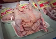 Пять тонн российского мяса курицы изъяли из реализации в Казахстане
