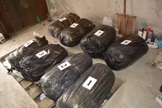 Двое казахстанцев осуждены в Челябинске за 140 килограммов марихуаны