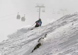 В горах Алматы хотят провести международный спортивный кинофестиваль