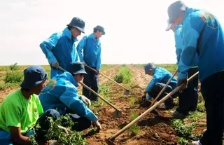 Назарбаев назвал работу отрядов "Жасыл Ел" подвигом