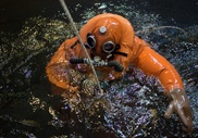 Число жертв крушения судна в Охотском море возросло до 56