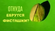 Как выглядят 19 популярных продуктов до сбора урожая