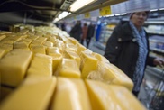 В сыре и молочной продукции из России обнаружена кишечная палочка