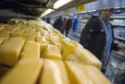 В сыре и молочной продукции из России обнаружена кишечная палочка