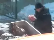 Скандал о поставках якобы ослиного мяса в детсад Тараза завершен