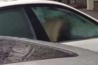 Пара занялась сексом на фоне салона Тele2 в центре Алматы