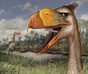 Ученые обнаружили останки вымершей "птицы ужаса"