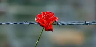 День освобождения узников нацистских концлагерей отмечают в мире