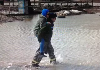 Паводки подтопили десятки домов в Павлодарской области