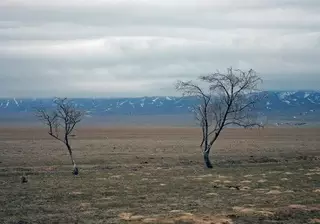 "Черные" риелторы подозреваются в жестоком убийстве в Карагандинской области