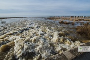 Подъем уровня воды в реке вокруг Астаны продолжается